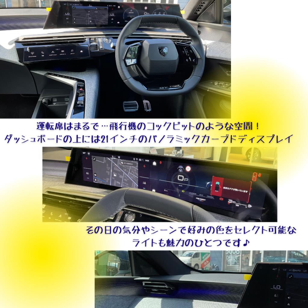 🦁NEW3008！魅力が沢山！