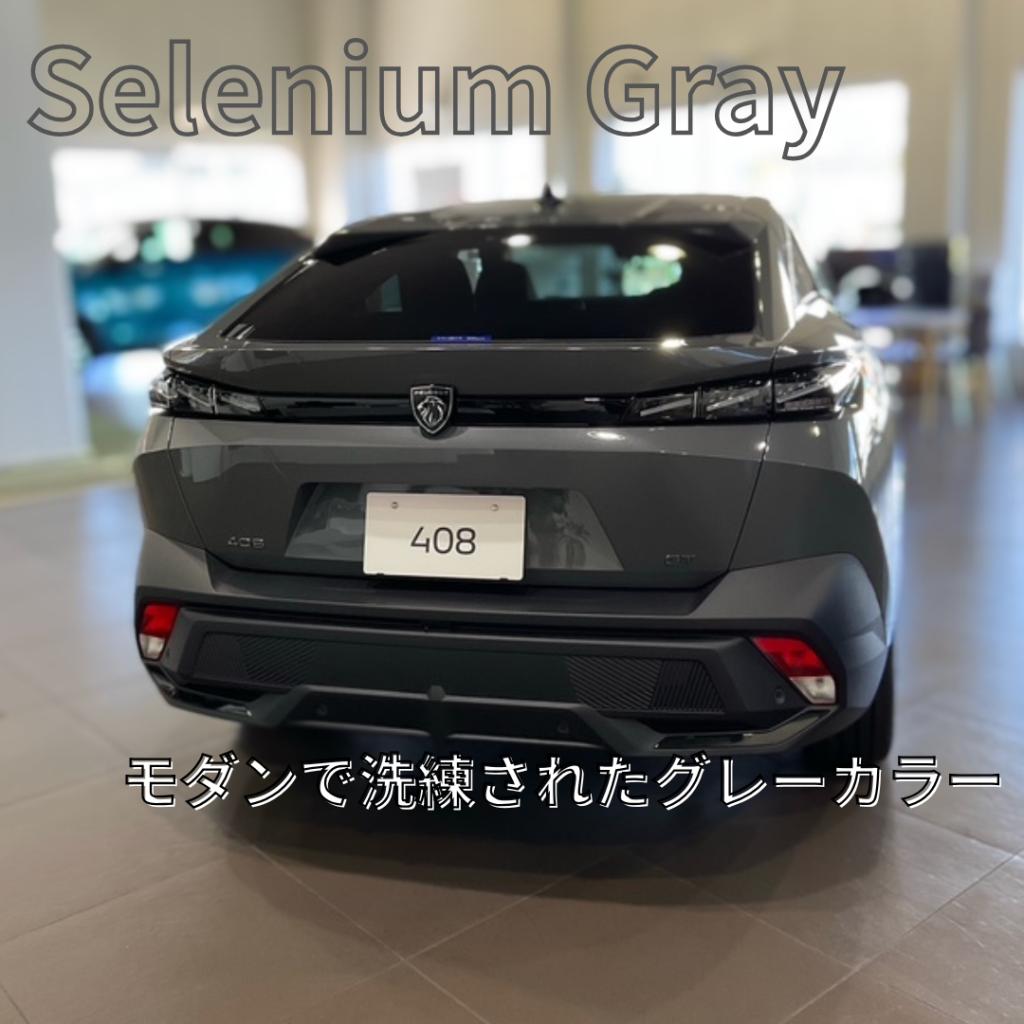 PEUGEOT  LION HYBRID FAIR第二弾！🦁