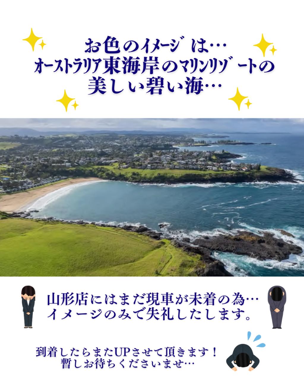 🦁リフター新色！デビューフェア10/4㈯・5㈰開催