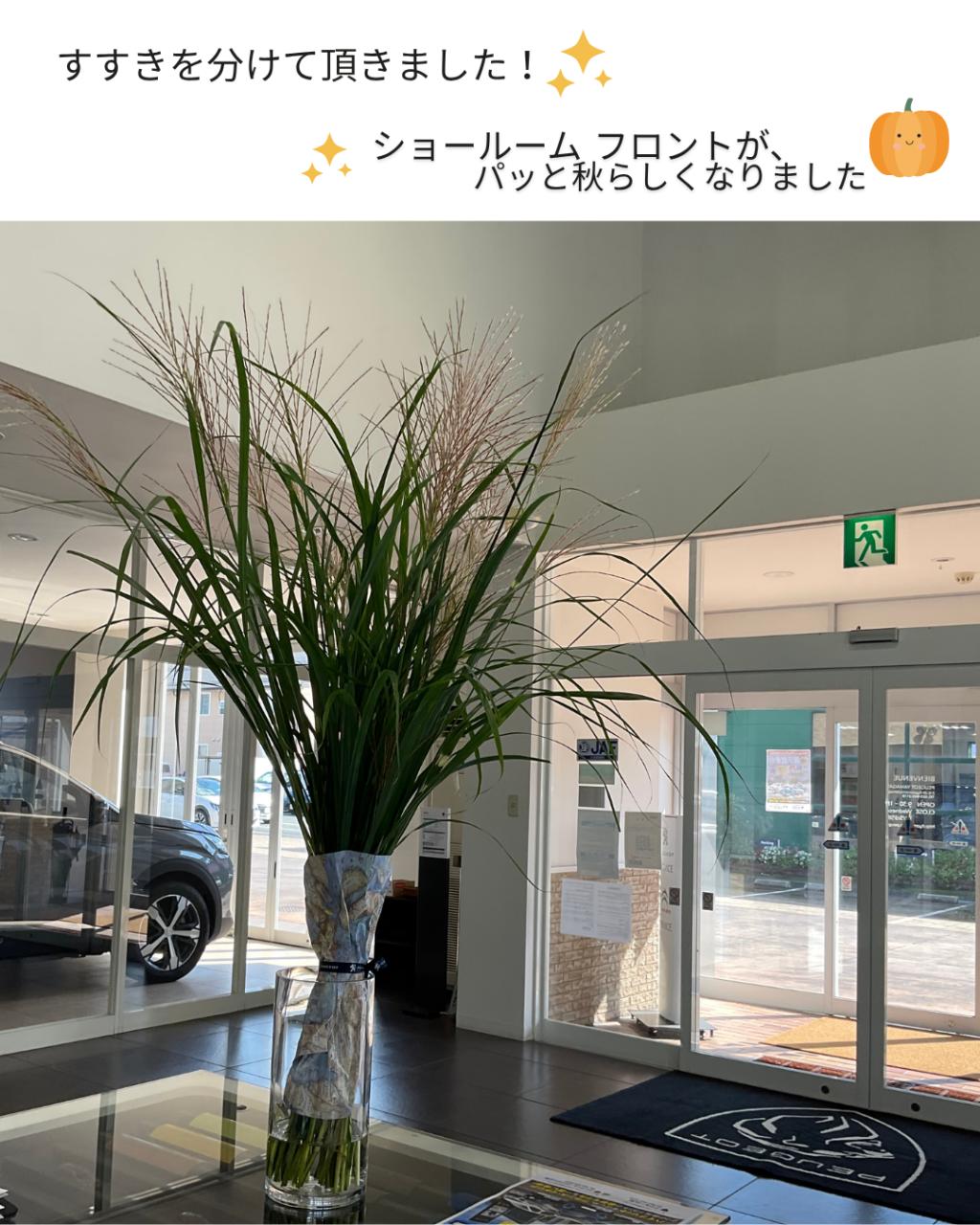 🦁秋ですね～♪