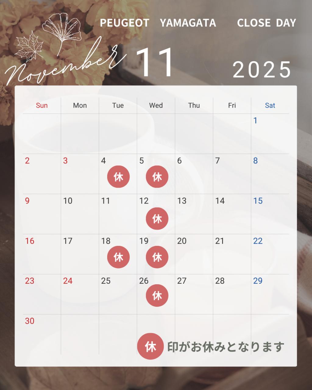 🦁【11月定休日のご案内】