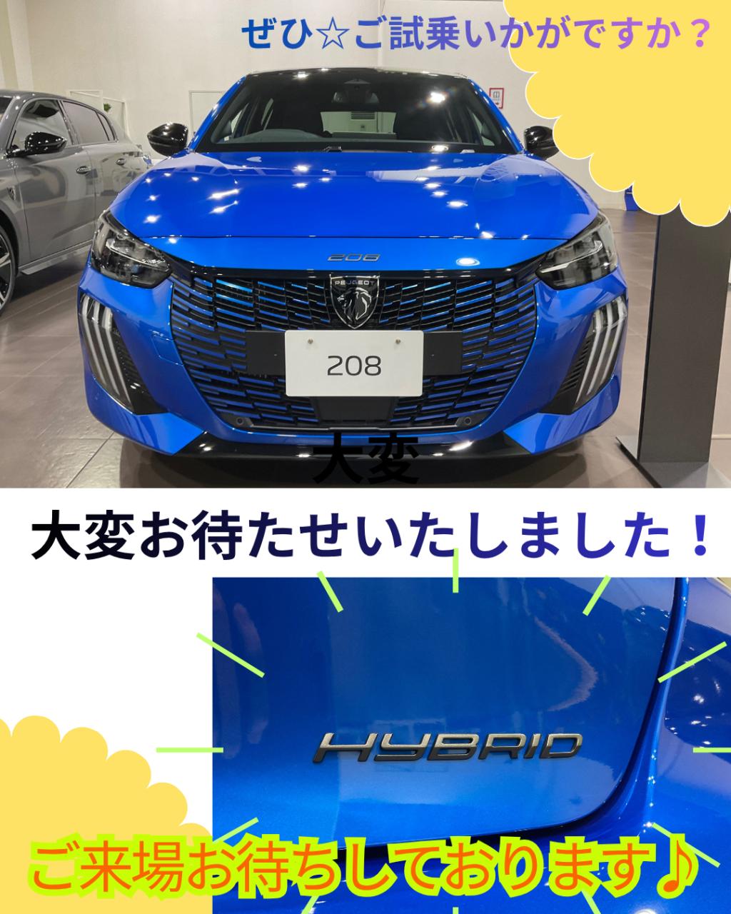 🦁208 HYBRIDデビューフェア11/24㈪まで開催中！