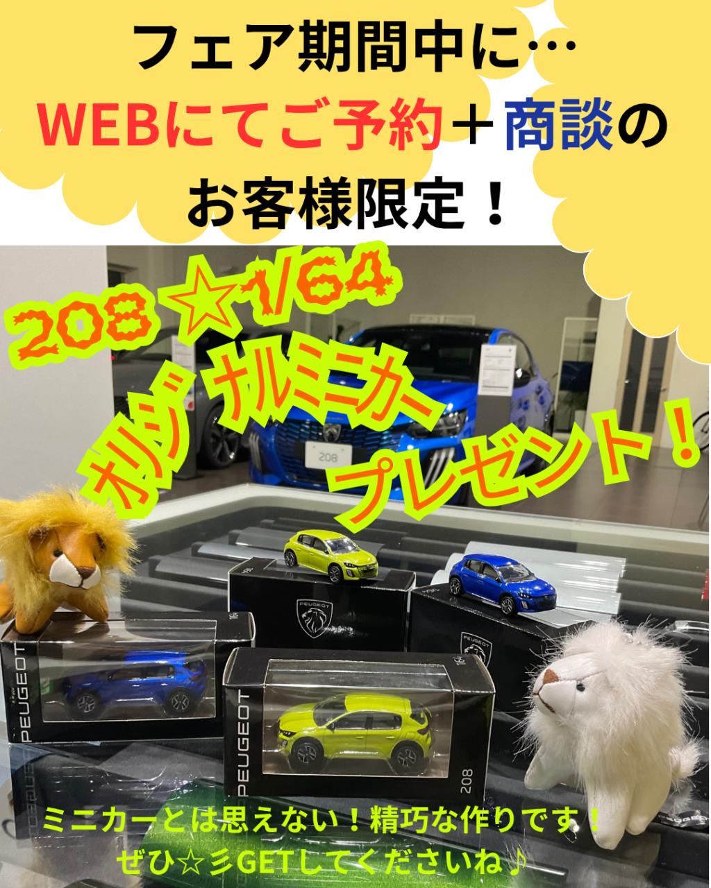 🦁208 HYBRIDデビューフェア11/24㈪まで開催中！
