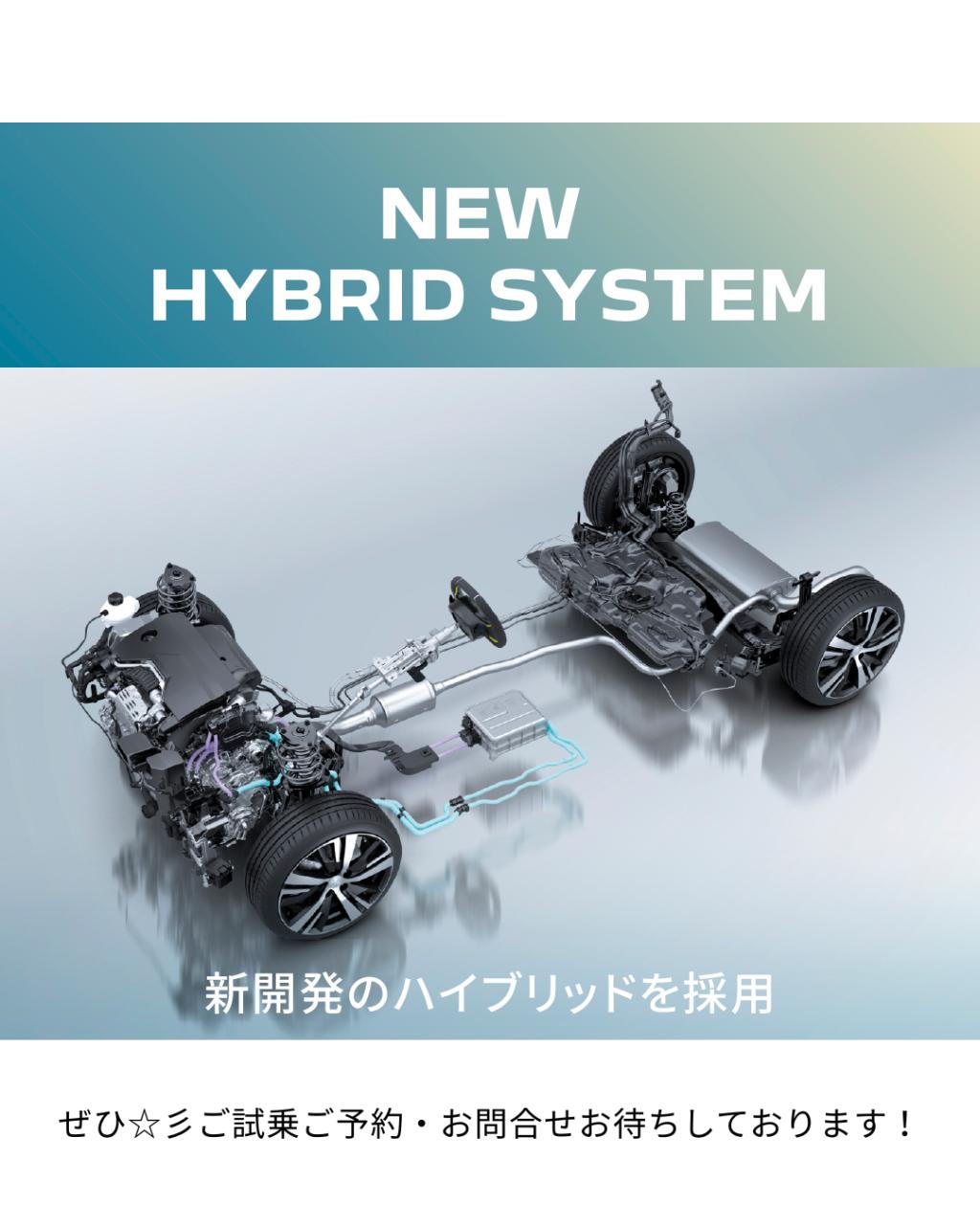 🦁プジョーの人気のマイルドハイブリッド☆