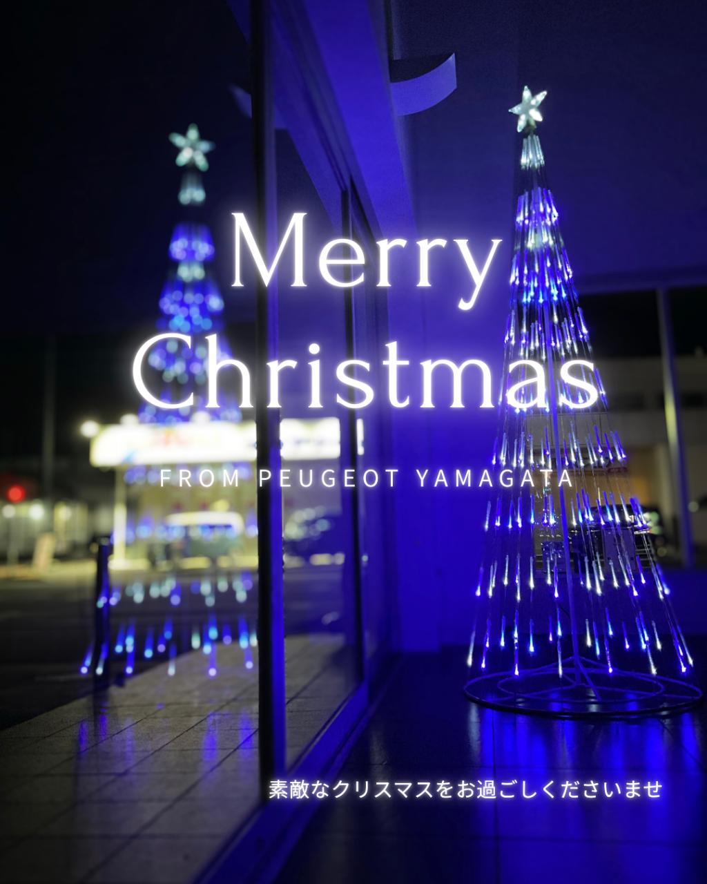 🦁メリークリスマス！🎄