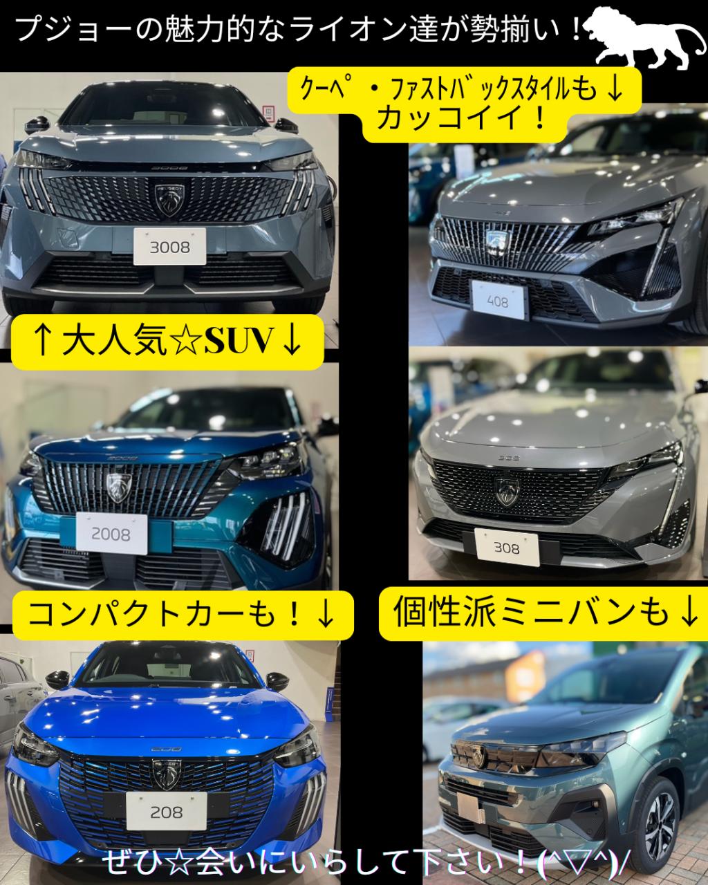 🦁NEW YEAR FAIR 　開催中！