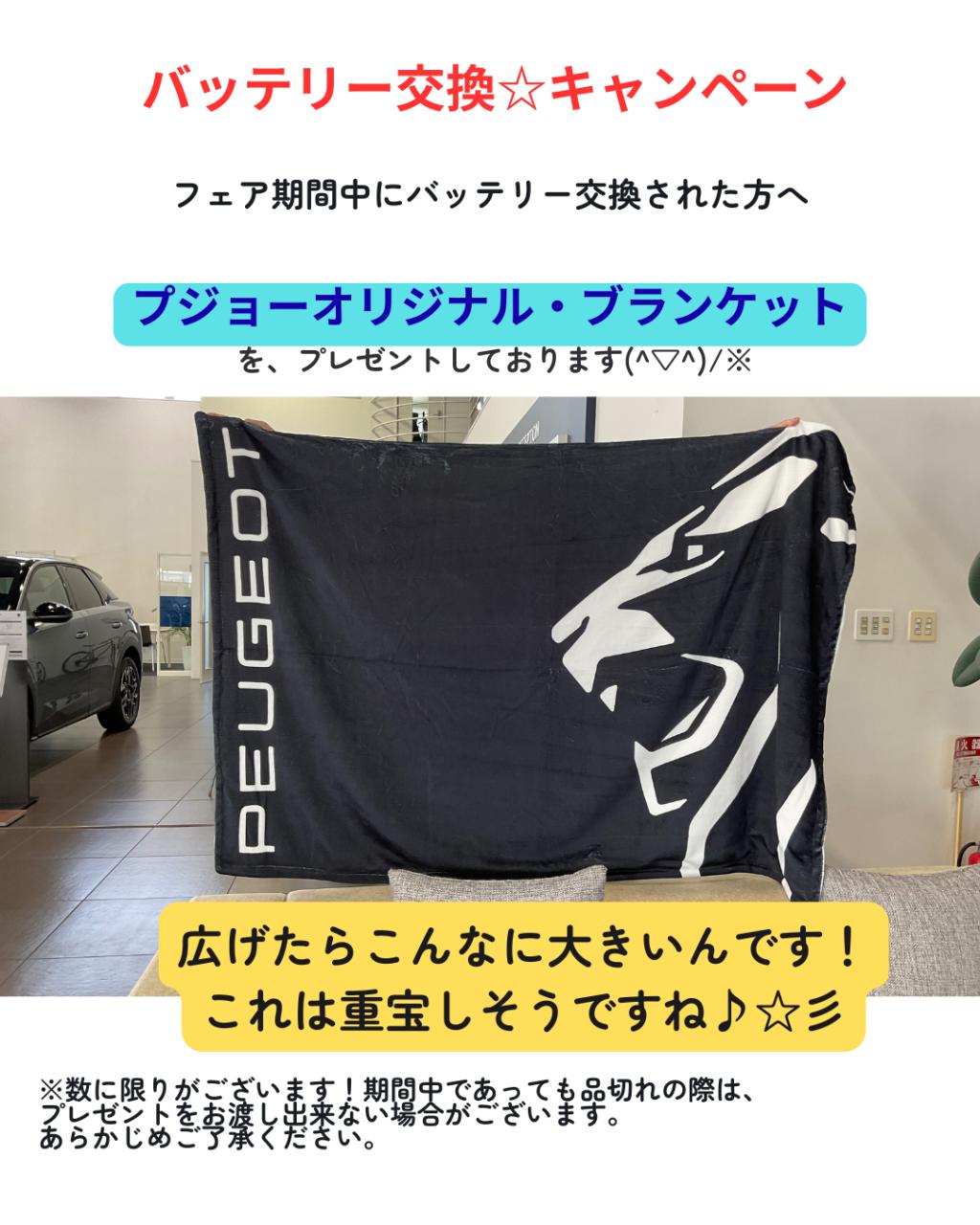 🦁純正バッテリーキャンペーン2/23㈪まで実施中！