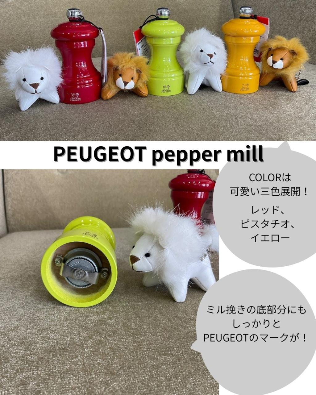 PEUGEOT HYBRID DRIVING FAIR🦁