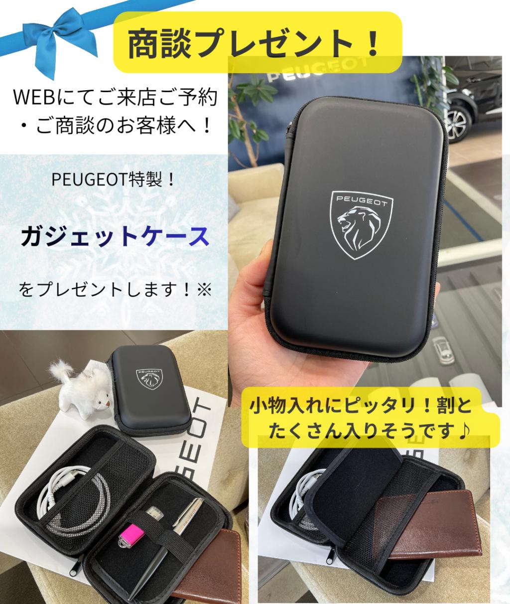 🦁 NEW Eー３００８デビューフェア２／２３まで開催！