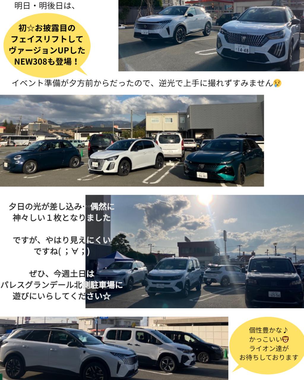 🦁春の出張☆展示試乗会明日から開催！