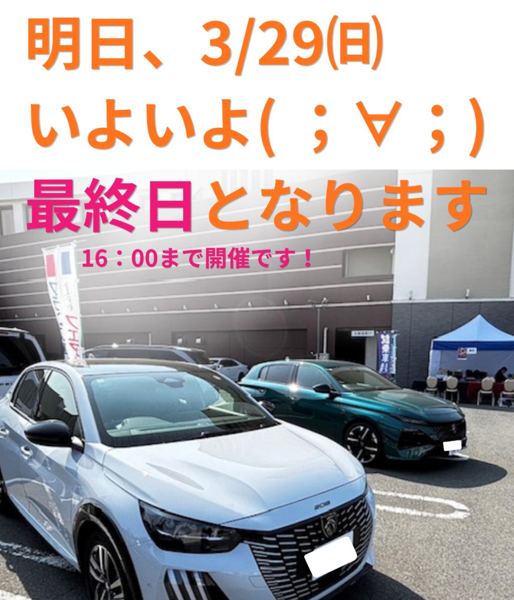 🦁春の出張☆展示試乗明日3/29最終日！