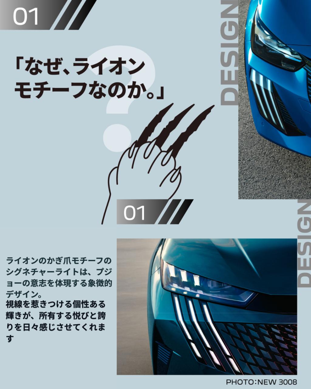 TEST DRIVE Campaign🦁🌸