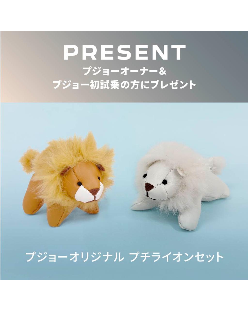 🦁試乗キャンペーン実施中☆4/30㈭まで！