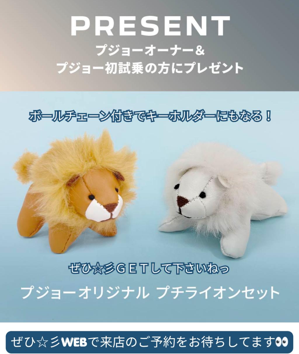 🦁試乗キャンペーン第２弾☆明日5/11(月)から！