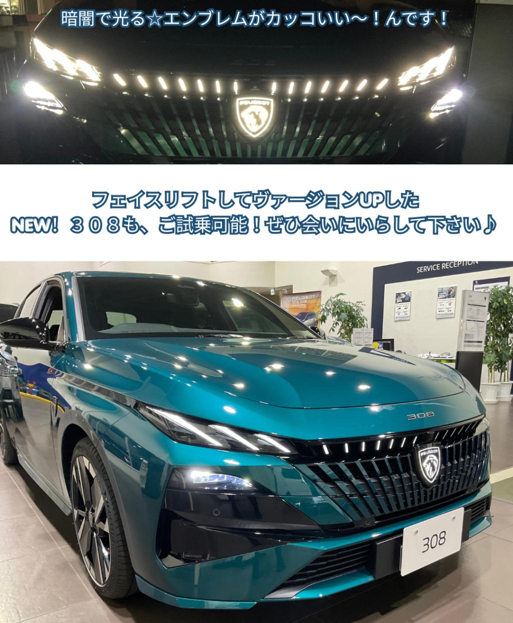 🦁試乗キャンペーン第２弾☆明日5/11(月)から！