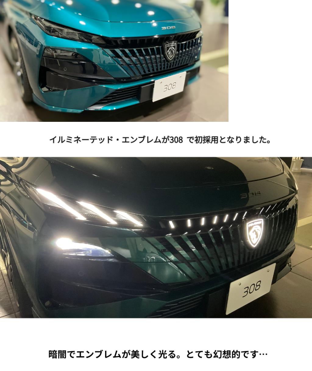 🦁5/30㈯・31㈰NEW 308デビューフェア開催！